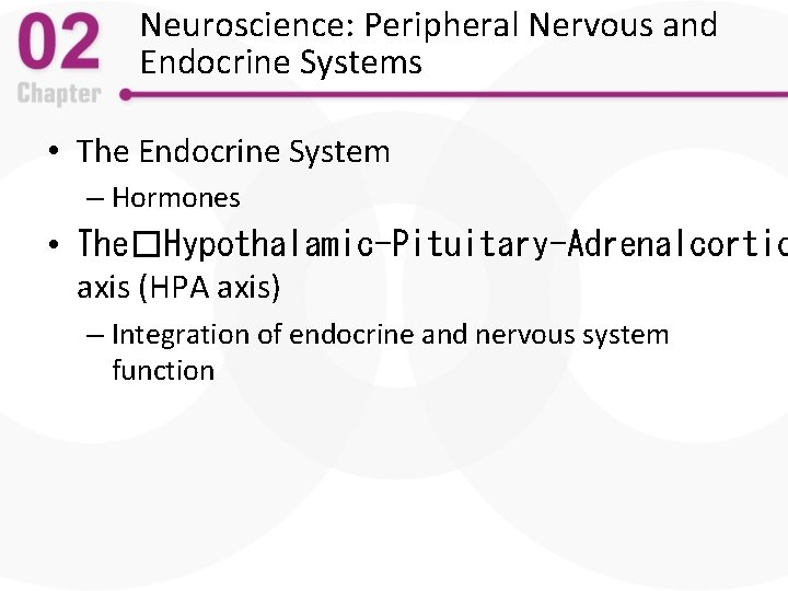 Neuroscience: Peripheral Nervous and Endocrine Systems • The Endocrine System – Hormones • The�Hypothalamic-Pituitary-Adrenalcortic