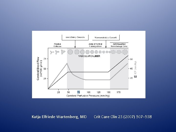 Katja Elfriede Wartenberg, MD Crit Care Clin 23 (2007) 507– 538 