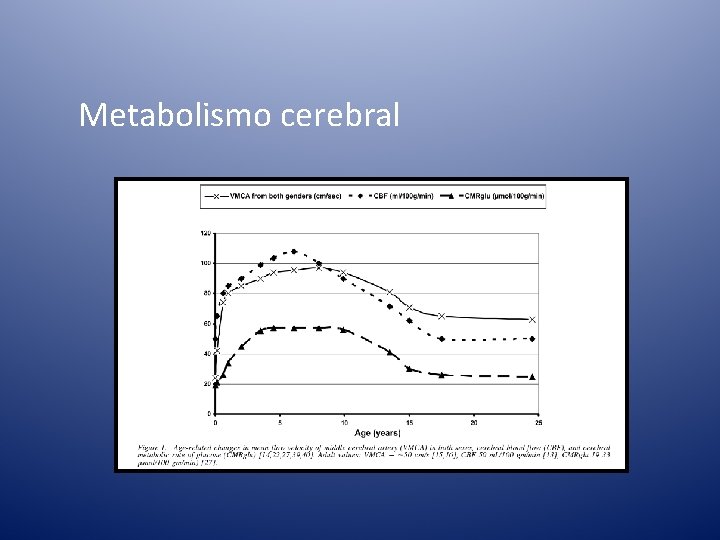 Metabolismo cerebral 