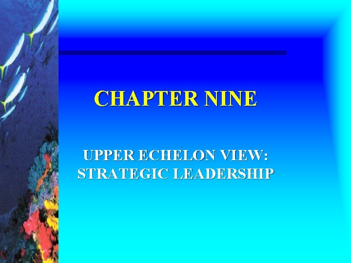 CHAPTER NINE UPPER ECHELON VIEW: STRATEGIC LEADERSHIP 
