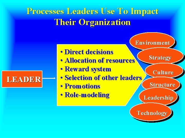 Processes Leaders Use To Impact Their Organization Environment LEADER • Direct decisions Strategy •