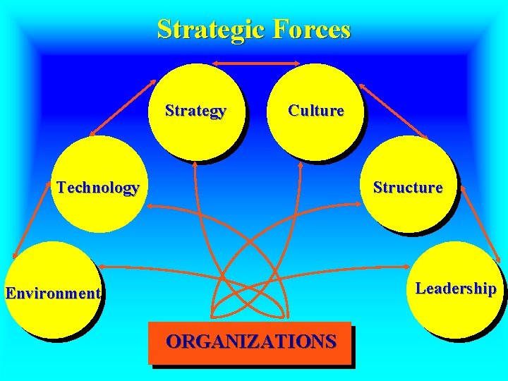 Strategic Forces Strategy Culture Structure Technology Leadership Environment ORGANIZATIONS 