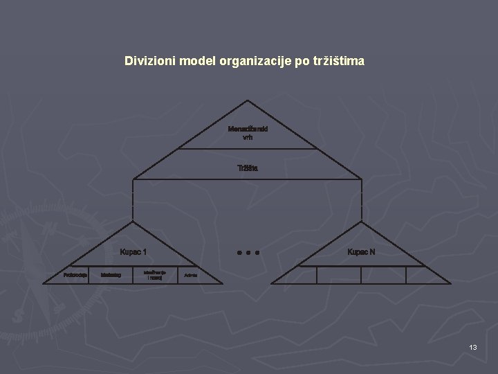 Divizioni model organizacije po tržištima 13 