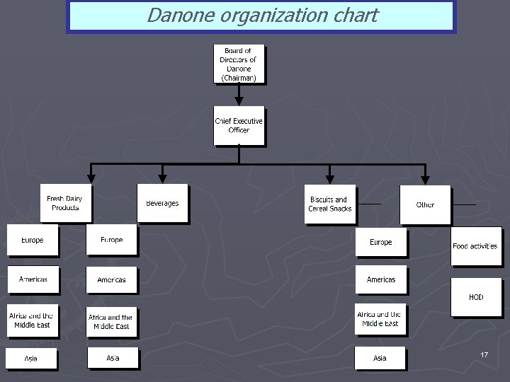 Danone organization chart 17 