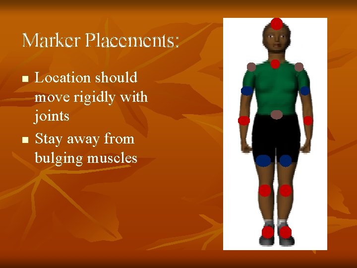 Marker Placements: n n Location should move rigidly with joints Stay away from bulging