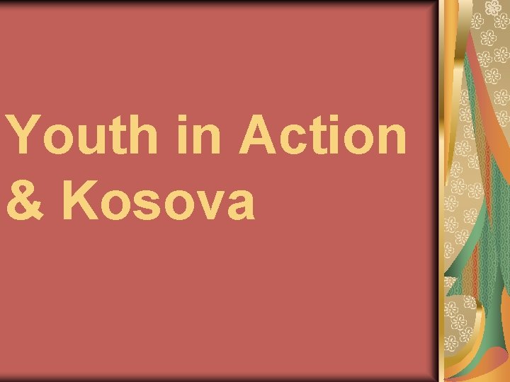 Youth in Action & Kosova 