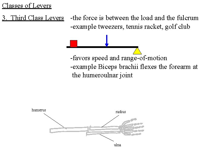 Classes of Levers 3. Third Class Levers -the force is between the load and Classes of Levers 3. Third Class Levers -the force is between the load and