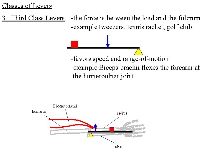 Classes of Levers 3. Third Class Levers -the force is between the load and Classes of Levers 3. Third Class Levers -the force is between the load and