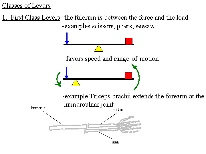 Classes of Levers 1. First Class Levers -the fulcrum is between the force and Classes of Levers 1. First Class Levers -the fulcrum is between the force and