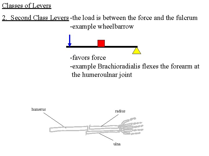 Classes of Levers 2. Second Class Levers -the load is between the force and Classes of Levers 2. Second Class Levers -the load is between the force and