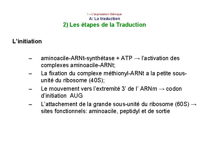  I – L’expression Génique A/ La traduction 2) Les étapes de la Traduction