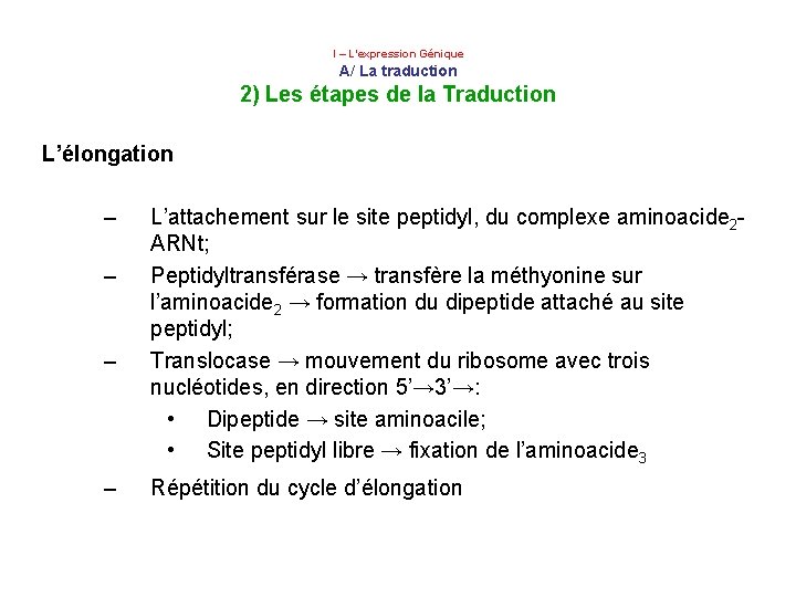  I – L’expression Génique A/ La traduction 2) Les étapes de la Traduction