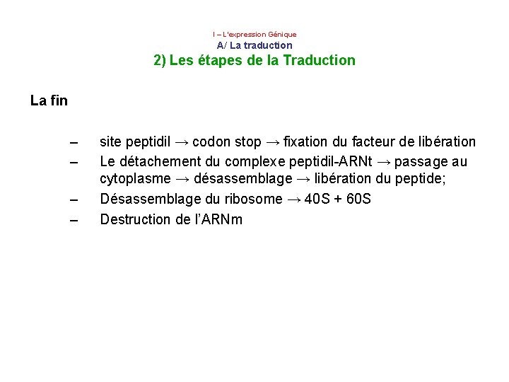  I – L’expression Génique A/ La traduction 2) Les étapes de la Traduction