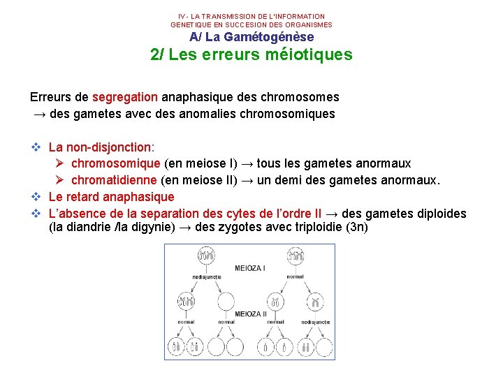 U. M. F IAŞI IV - LA TRANSMISSION DE L’INFORMATION GENETIQUE EN SUCCESION DES U. M. F IAŞI IV - LA TRANSMISSION DE L’INFORMATION GENETIQUE EN SUCCESION DES
