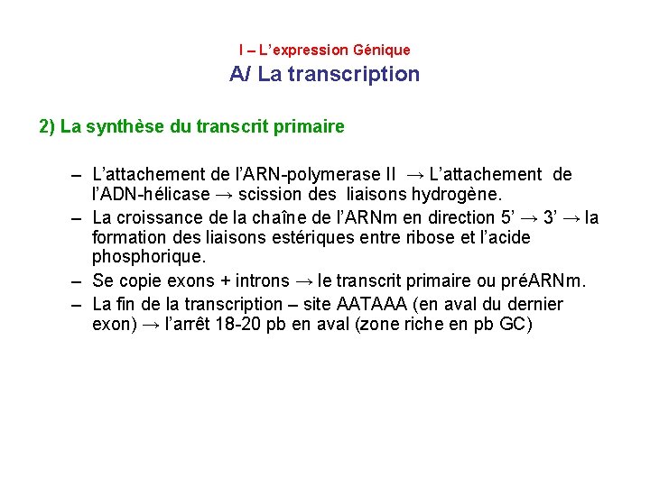 I – L’expression Génique A/ La transcription 2) La synthèse du transcrit primaire –