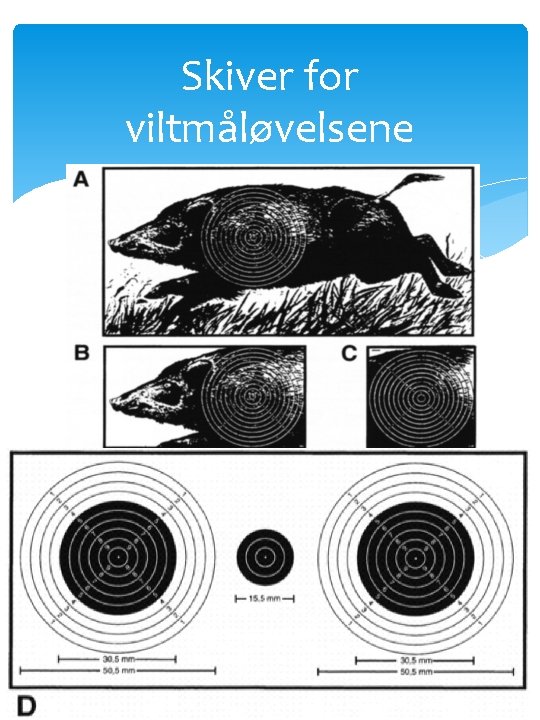 Skiver for viltmåløvelsene 