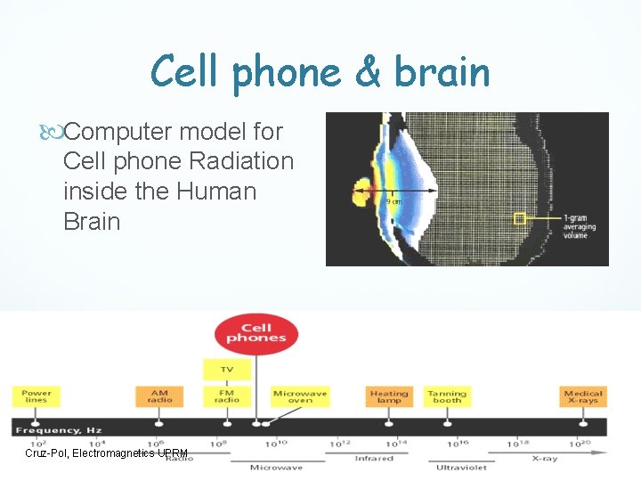 Cell phone & brain Computer model for Cell phone Radiation inside the Human Brain