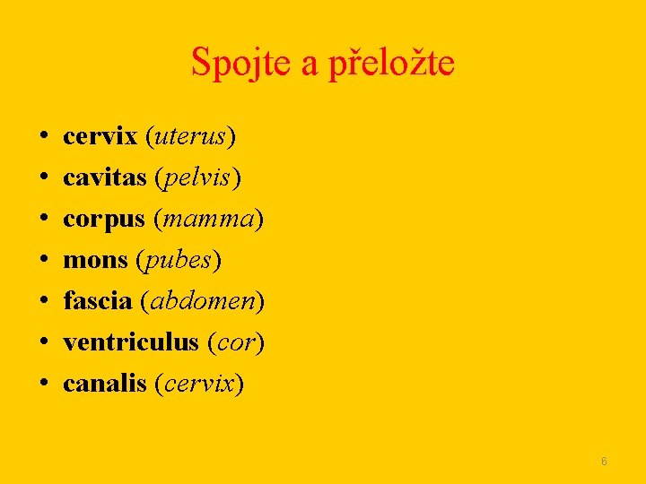 Spojte a přeložte • • cervix (uterus) cavitas (pelvis) corpus (mamma) mons (pubes) fascia