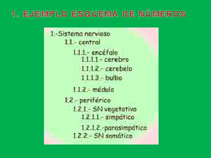 1. EJEMPLO ESQUEMA DE NÚMEROS 