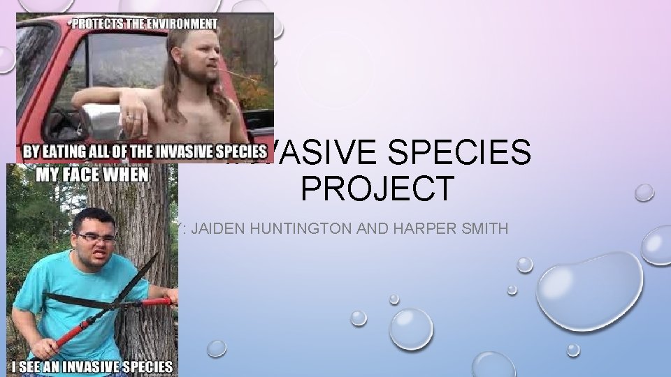 INVASIVE SPECIES PROJECT BY: JAIDEN HUNTINGTON AND HARPER SMITH 