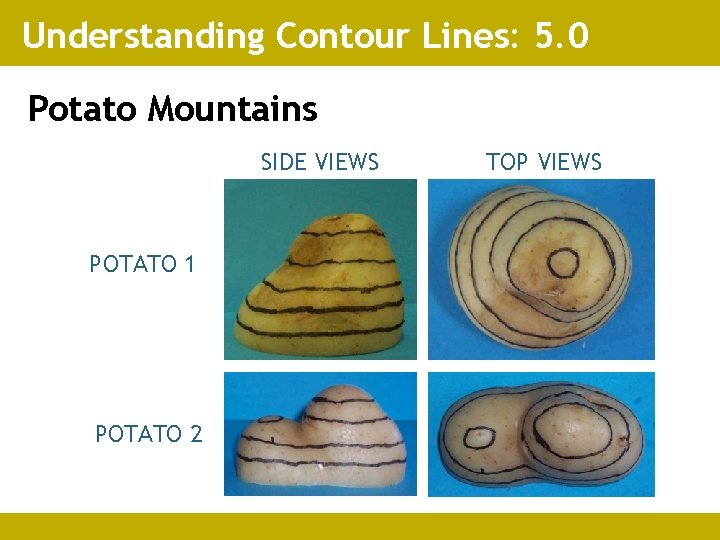 Understanding Contour Lines: 5. 0 Potato Mountains SIDE VIEWS POTATO 1 POTATO 2 TOP