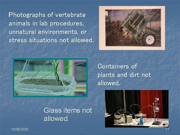 Photographs of vertebrate animals in lab procedures, unnatural environments, or stress situations not allowed