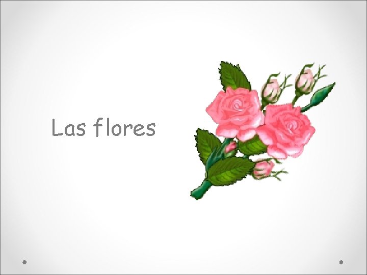 Las flores 