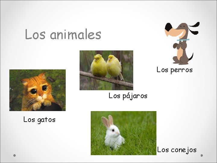 Los animales Los perros Los pájaros Los gatos Los conejos 