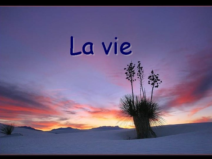 La vie 