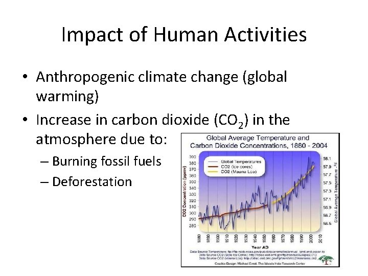 Impact of Human Activities • Anthropogenic climate change (global warming) • Increase in carbon