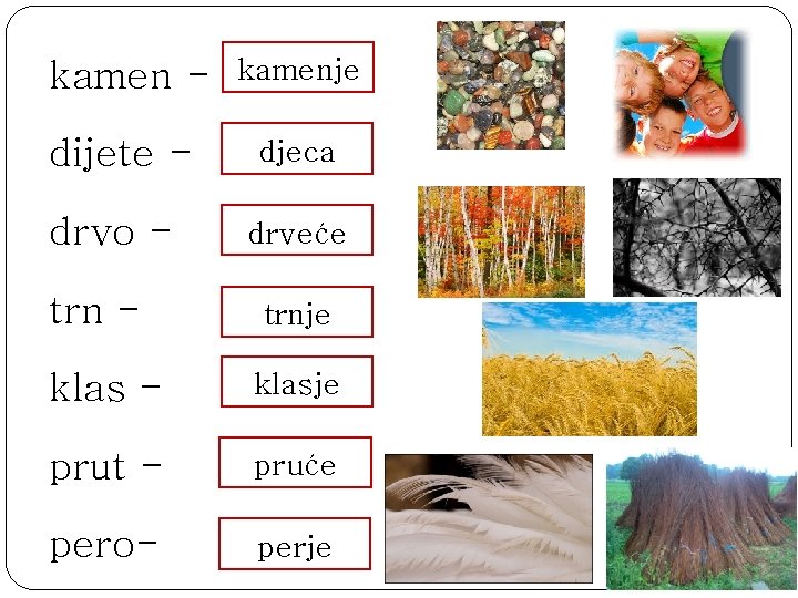 kamen - kamenje dijete - djeca drvo - drveće trn - trnje klas -