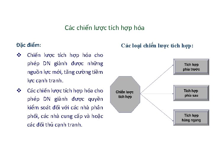 Các chiến lược tích hợp hóa Đặc điểm: v Chiến lược tích hợp hóa