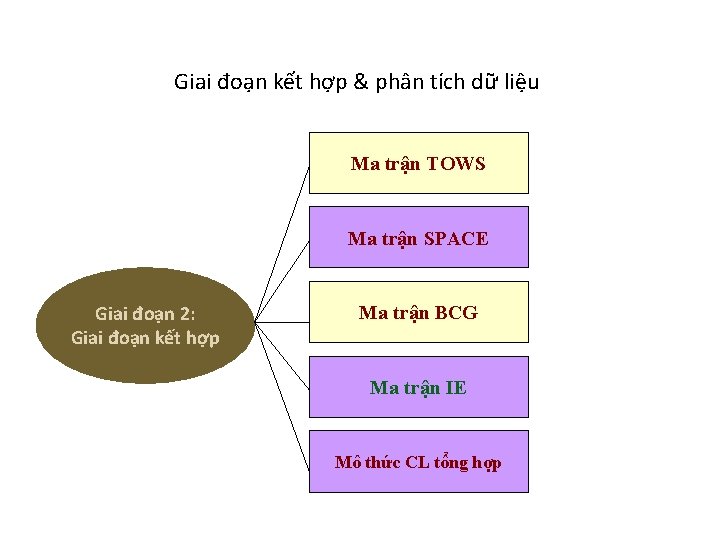 Giai đoạn kết hợp & phân tích dữ liệu Ma trận TOWS Ma trận