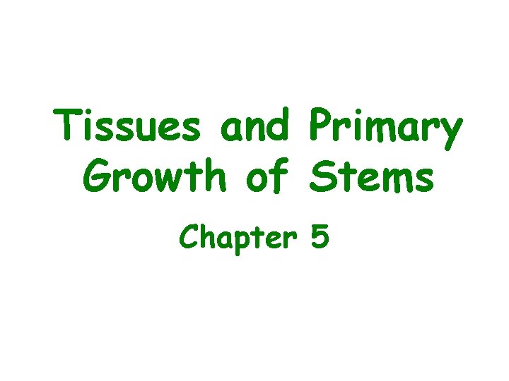 Tissues and Primary Growth of Stems Chapter 5 