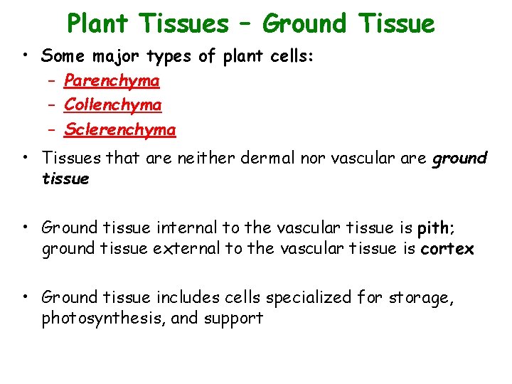 Plant Tissues – Ground Tissue • Some major types of plant cells: – Parenchyma