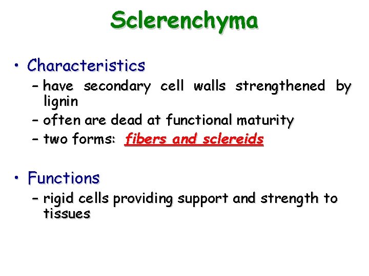 Sclerenchyma • Characteristics – have secondary cell walls strengthened by lignin – often are