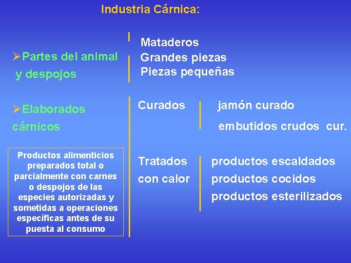 Industria Cárnica: ØPartes del animal y despojos Mataderos Grandes piezas Piezas pequeñas ØElaborados cárnicos