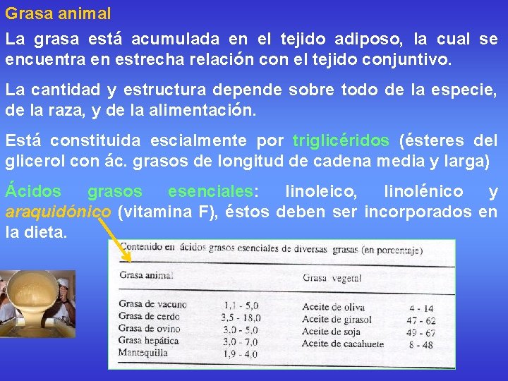 Grasa animal La grasa está acumulada en el tejido adiposo, la cual se encuentra