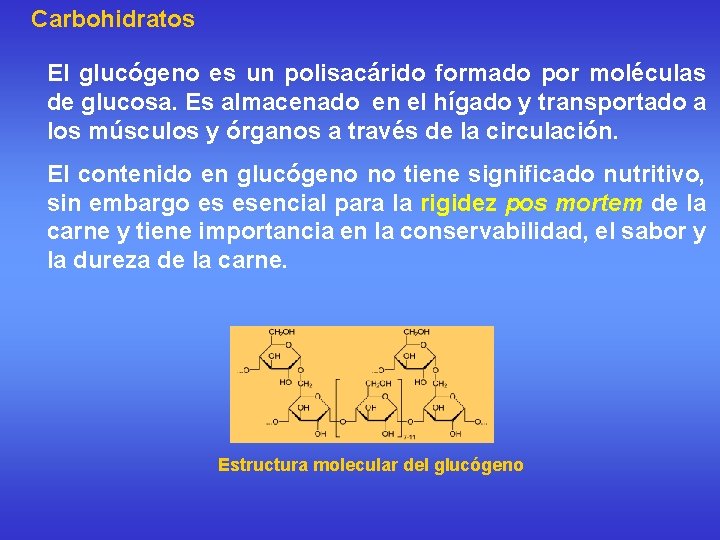 Carbohidratos El glucógeno es un polisacárido formado por moléculas de glucosa. Es almacenado en