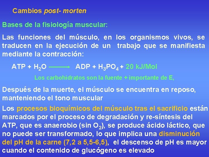 Cambios post- morten Bases de la fisiología muscular: Las funciones del músculo, en los