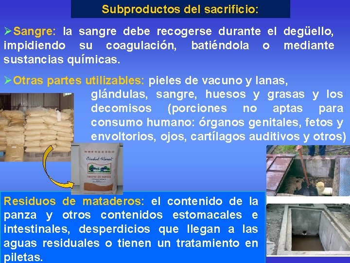 Subproductos del sacrificio: ØSangre: la sangre debe recogerse durante el degüello, impidiendo su coagulación,