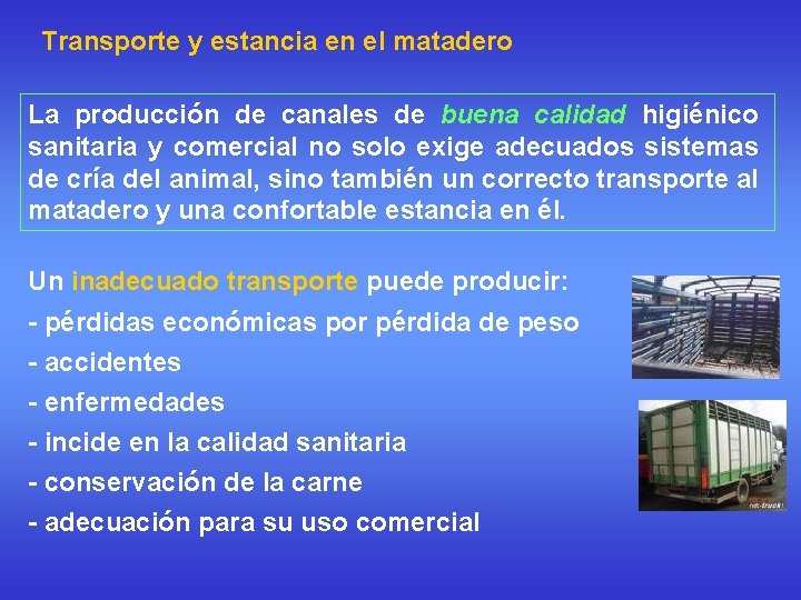 Transporte y estancia en el matadero La producción de canales de buena calidad higiénico