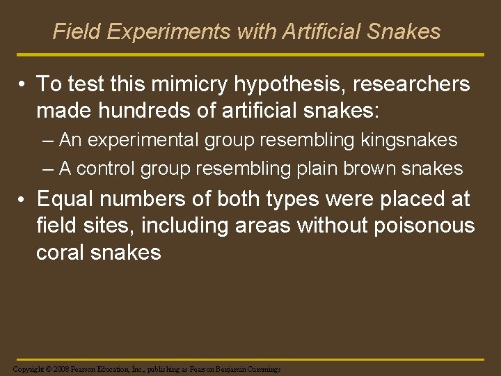 Field Experiments with Artificial Snakes • To test this mimicry hypothesis, researchers made hundreds