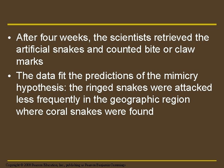  • After four weeks, the scientists retrieved the artificial snakes and counted bite