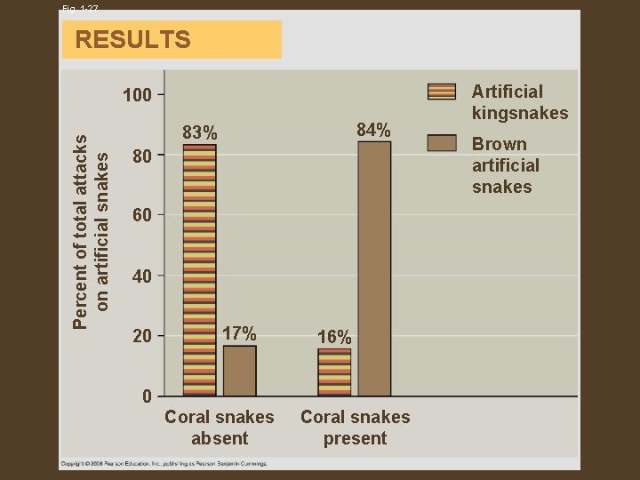 Fig. 1 -27 RESULTS Percent of total attacks on artificial snakes 100 84% 83%