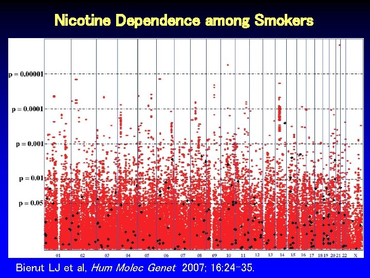 Nicotine Dependence among Smokers Bierut LJ et al, Hum Molec Genet 2007; 16: 24 Nicotine Dependence among Smokers Bierut LJ et al, Hum Molec Genet 2007; 16: 24
