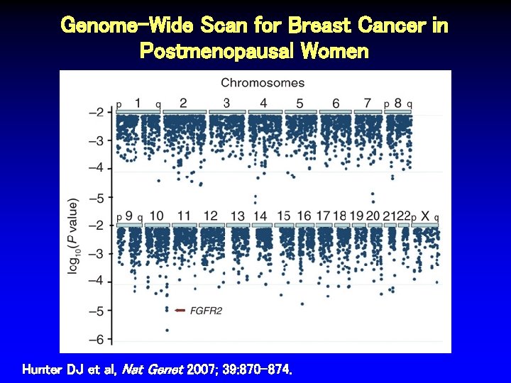 Genome-Wide Scan for Breast Cancer in Postmenopausal Women Hunter DJ et al, Nat Genet
