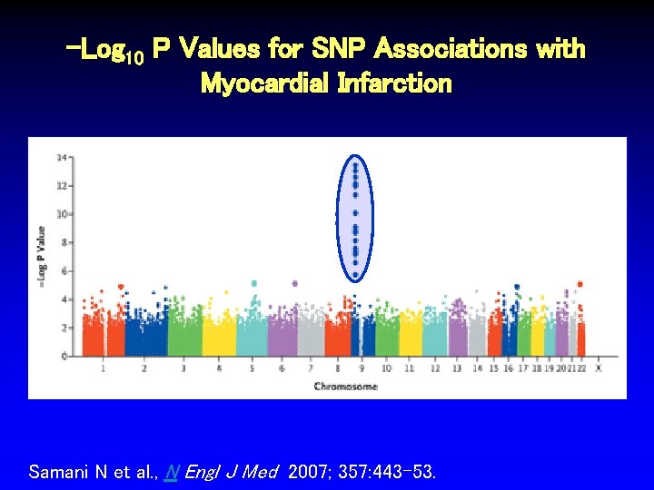 -Log 10 P Values for SNP Associations with Myocardial Infarction Samani N et al. -Log 10 P Values for SNP Associations with Myocardial Infarction Samani N et al.