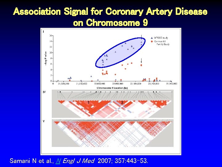 Association Signal for Coronary Artery Disease on Chromosome 9 Samani N et al. , Association Signal for Coronary Artery Disease on Chromosome 9 Samani N et al. ,