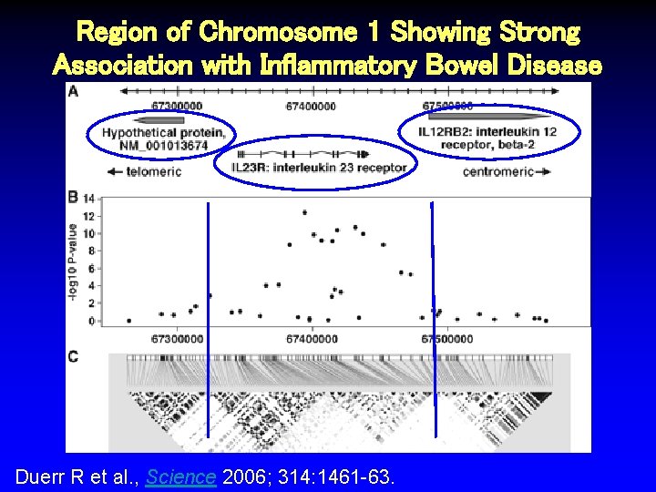 Region of Chromosome 1 Showing Strong Association with Inflammatory Bowel Disease Duerr R et